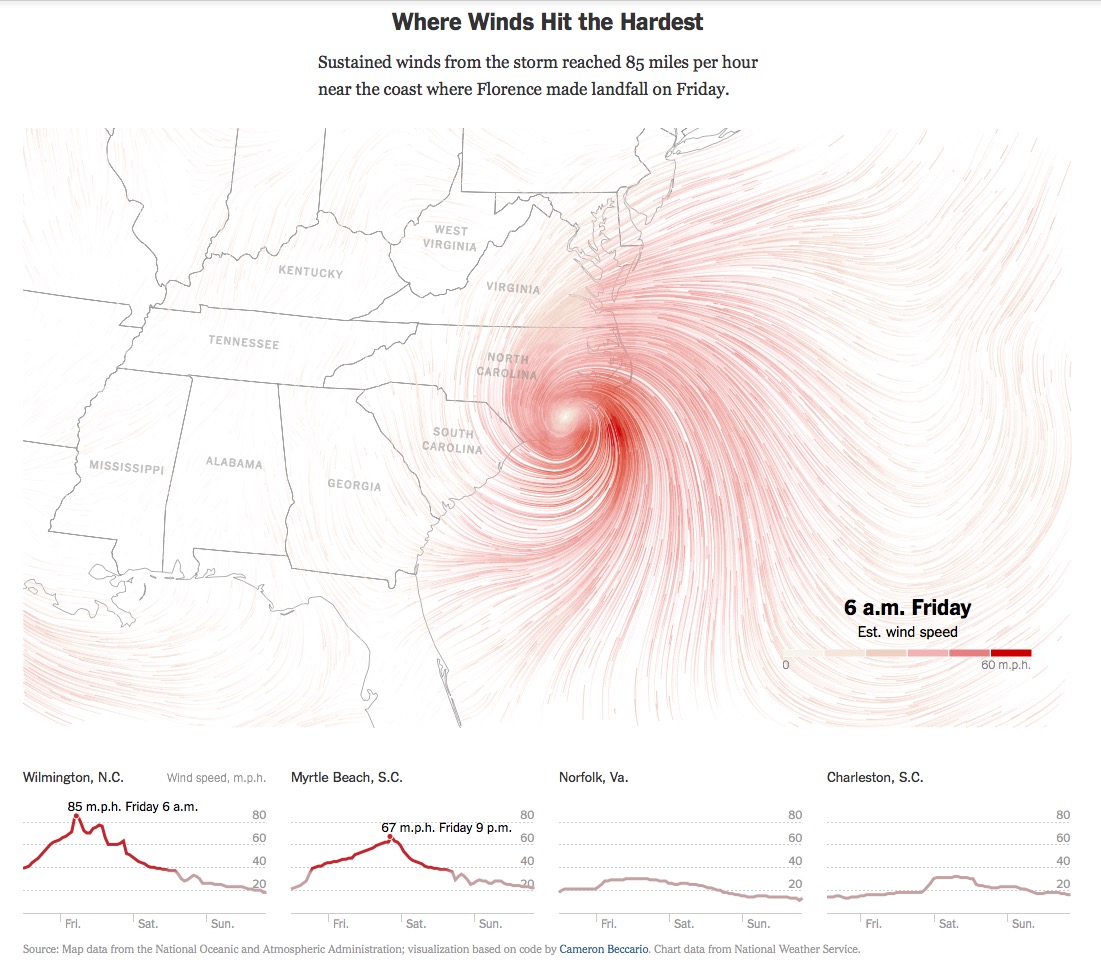 infographic example