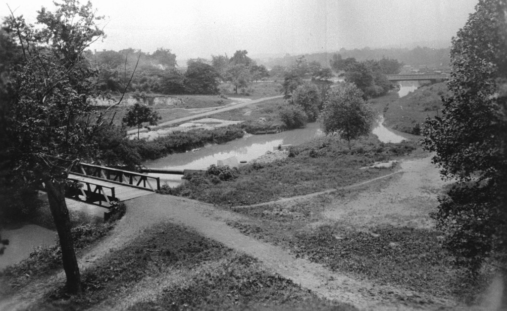 photo of bridges and rough vegetation