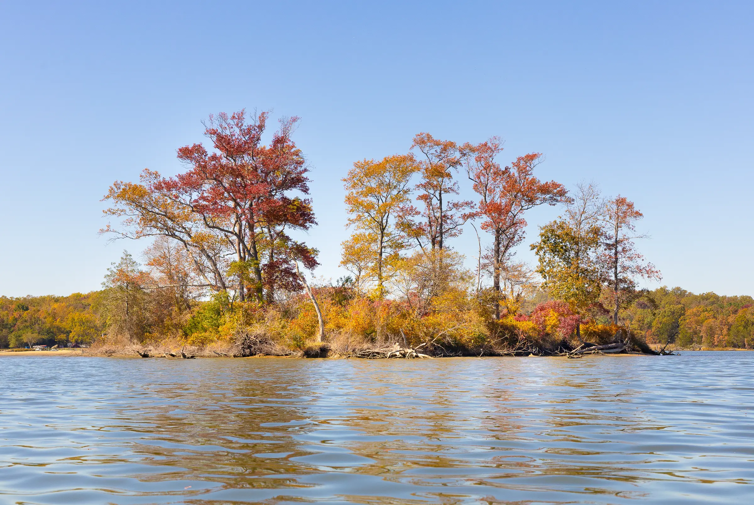 brightly-colored trees on an island