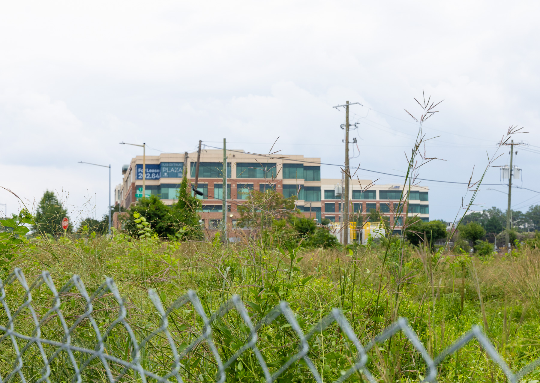 Office building and tall vegetation