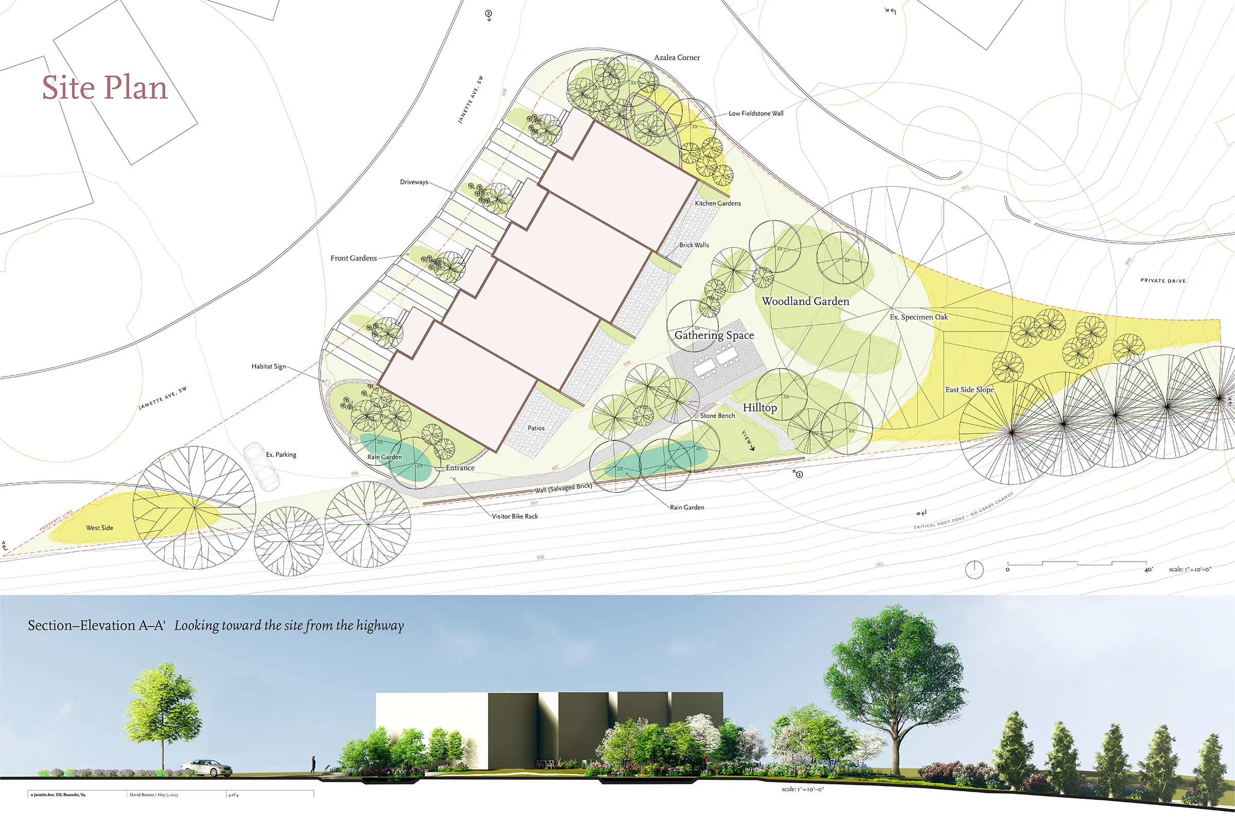 site plan and section